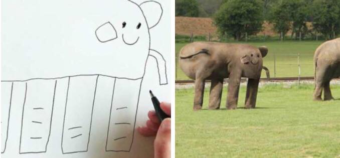 7 billeder der viser dyr ville se hvis det var børnene bestemte.